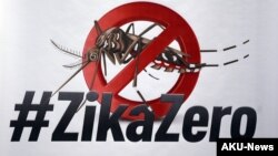 Un cartel de movilización contra el mosquito Aedes aegypti que transmite el Zika. EFE