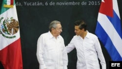Raúl Castro en histórica visita a México