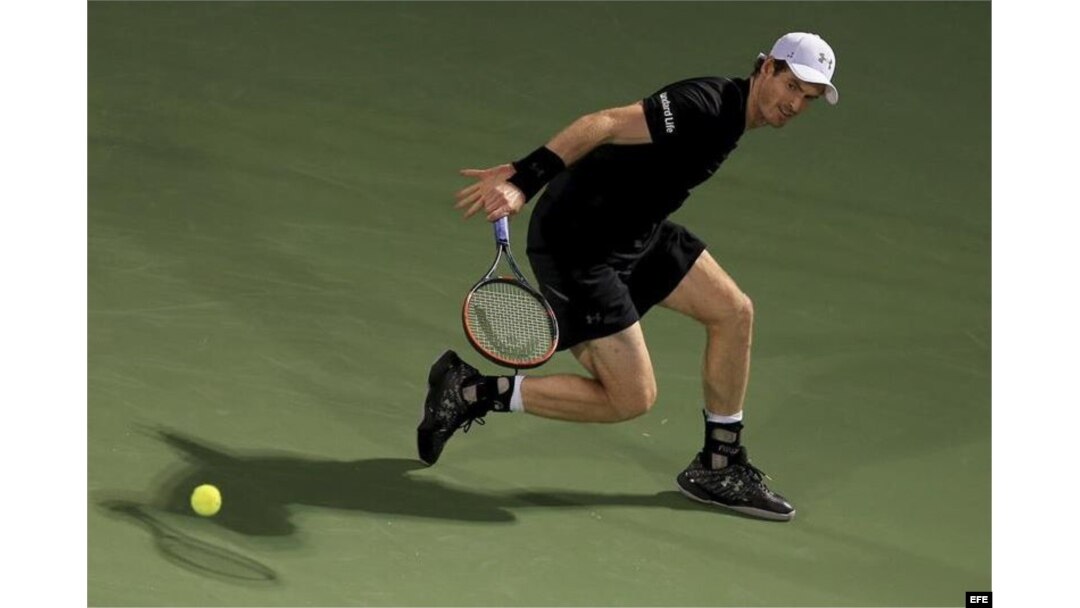 Andy Murray.