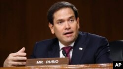 Sen. Marco Rubio, republicano por Florida, durante una audiencia en el Capitolio el 5 de mayo de 2020. (AP Photo/Andrew Harnik)