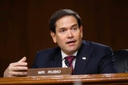 Sen. Marco Rubio, republicano por Florida, durante una audiencia en el Capitolio, el 5 de mayo de 2020. AP Photo/Andrew Harnik