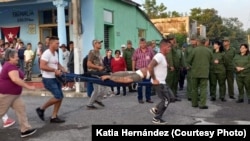 Ejercicio del Día de la Defensa en San Diego de los Baños. (Cortesía/Katia Hernández)