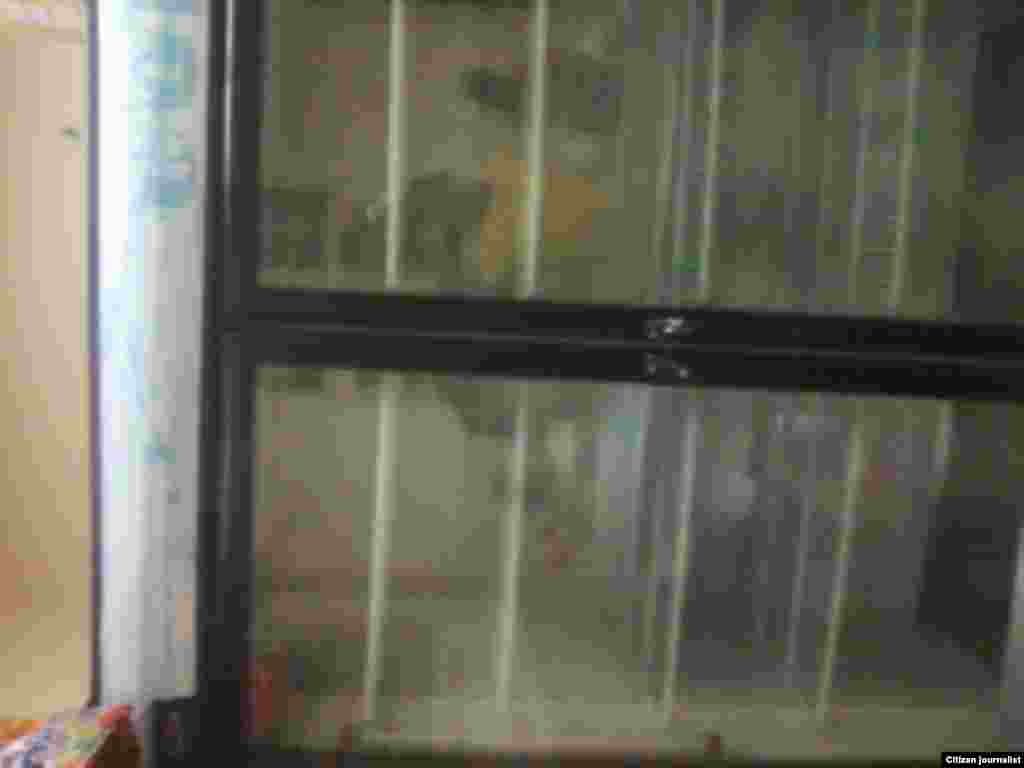 Tiendas estatales en Trinidad reporta Mario Miranda