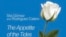 Foto Portada Ars Atelier