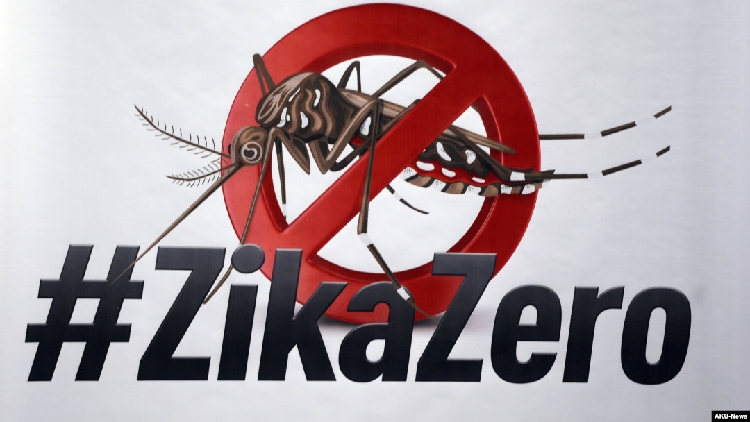 Un cartel de movilización contra el mosquito Aedes aegypti que transmite el Zika. EFE
