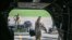 Esta fotografía distribuida por el Comando Sur de los Estados Unidos el 25 de junio de 2026 muestra a miembros de la Fuerza de Tarea Conjunta Bravo cargando equipo en un CH-47 Chinook en preparación para brindar apoyo a la respuesta de socorro ante el desastre en Venezuela.