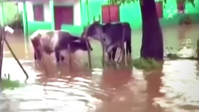 Intensas lluvias dejaron serias afectaciones a la agricultura en Sancti Spíritus