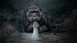 La mirada de King Kong