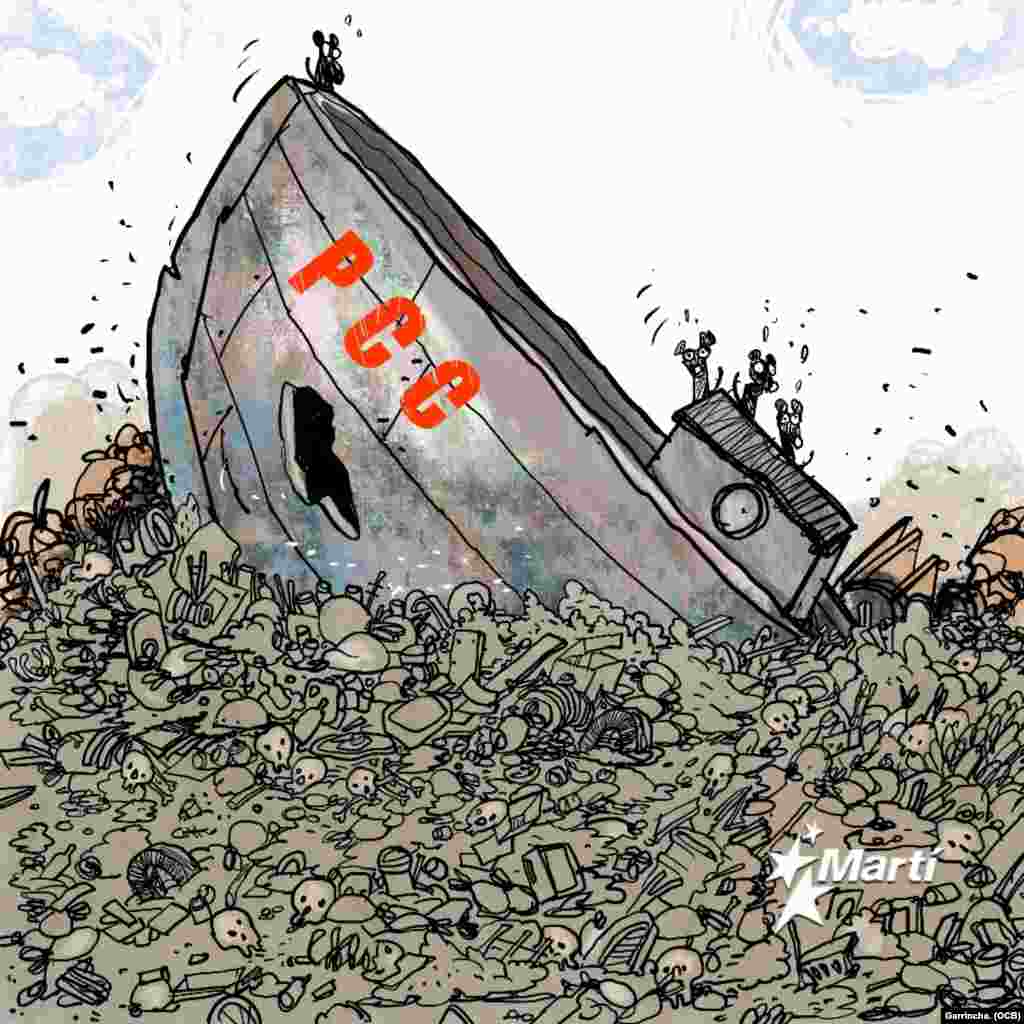 Las ratas no tienen a dónde ir.