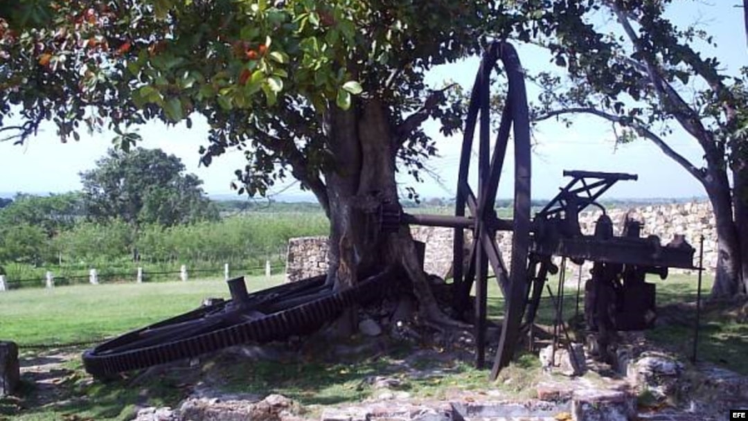 Demajagua 