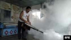 ARCHIVO. Un hombre fumiga una pescadería contra el Aedes Aegypti (mosquito transmisor del dengue).