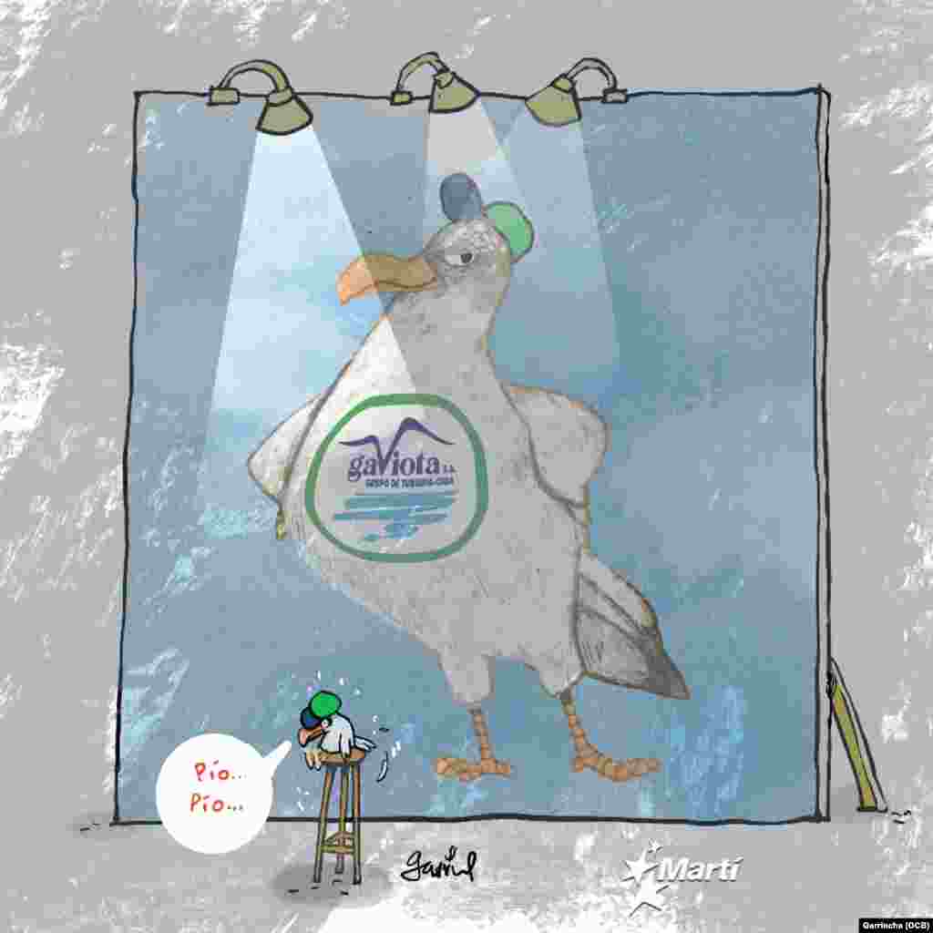 Gaviota S.A. ya no es lo que era 