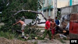  Varias personas trabajan talando árboles derribados por el paso del huracán Sandy por el poblado de Caimanera, en la provincia de Guantánamo (Cuba). 