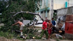 El cuidado de los ecosistemas en Cuba: denuncias urgentes