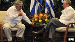 Raúl Castro (d) y el presidente de Uruguay José Mujica (i) hablan durante el encuentro oficial en La Habana.