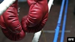 Guantes de boxeo.