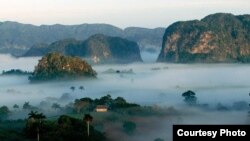 La vega se pierde en sus gasas de nieblas azules (Teófilo Radillo). Valle de Viñales, Cuba.