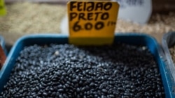 ¿Frijoles negros para prevenir de cáncer? El doctor Manuel Alzugaray, del Miami Medical Team, tiene la respuesta
