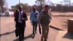 Comienza el juicio contra los acusados de la muerte del león Cecil