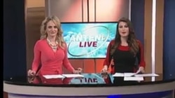 Antena Live