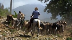 Consideran positivo que campesinos vendan productos a Turismo