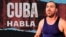 Banner 408