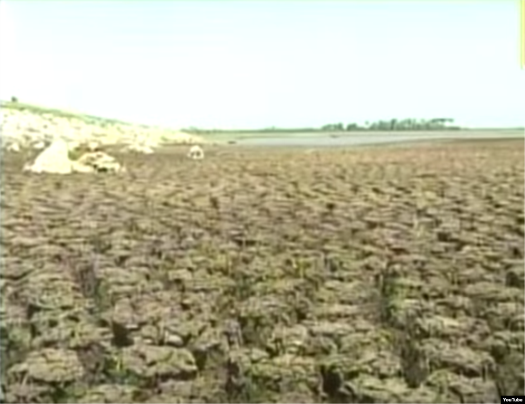 Reporta Cuba. Intensa sequía afecta a toda la isla.