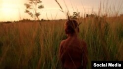 Moriviví (David Enrique Aguilera, 2017)