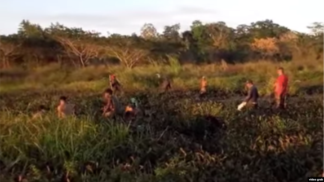 Niños cazando clarias en el fango en la presa seca del Parque Lenin.