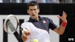 El tenista serbio Novak Djokovic, número dos del mundo.