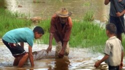 Denuncian crecimiento de aguas albañales