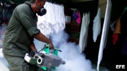 Campaña contra el mosquito trasmisor del dengue, zika y chikungunya. (Archivo)