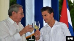 El presidente de México Enrique Peña Nieto y su homólogo cubano, Raúl Castro, reafirmaron sus nexos bilaterales en noviembre pasado.
