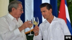 El presidente de México Enrique Peña Nieto y su homólogo cubano, Raúl Castro, brindan tras una rueda de prensa conjunta.