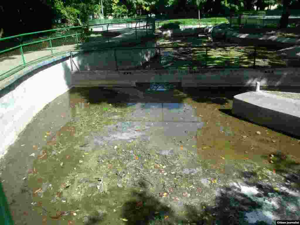 Zoológico de La Habana Foto de Billy Joe Landa.