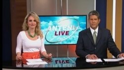 Antena Live