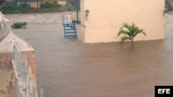 Hoy con Lucinda González, Iris Puentes, Alcibiades Silva, William Tamayo, Dagoberto Martínez, Dayani Salazar, Jiordan Marrero y Eladio Peña 