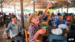 Guajiros cantan "punto cubano" en una celebración en San José de las Lajas.
