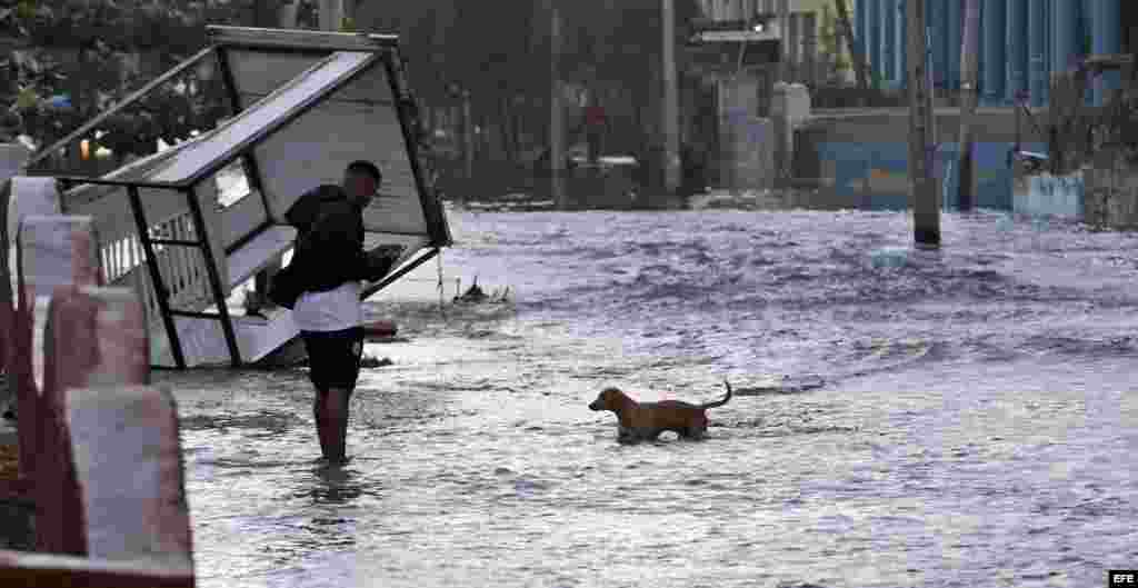  Un hombre camina por una calle inundada hoy, martes 24 de enero de 2017, en La Habana (Cuba). 