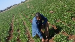 El gobierno quiere “tener bajo sus botas al hombre del campo”, opinan agricultores privados