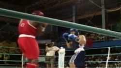 Boxeadores cubanos podrían participar en torneos semi-profesionales
