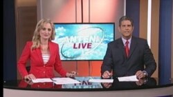 Antena Live