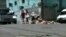 Basureros en La Habana: caldo de cultivo para brote de enfermedades