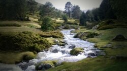 "El arroyo de la sierra"