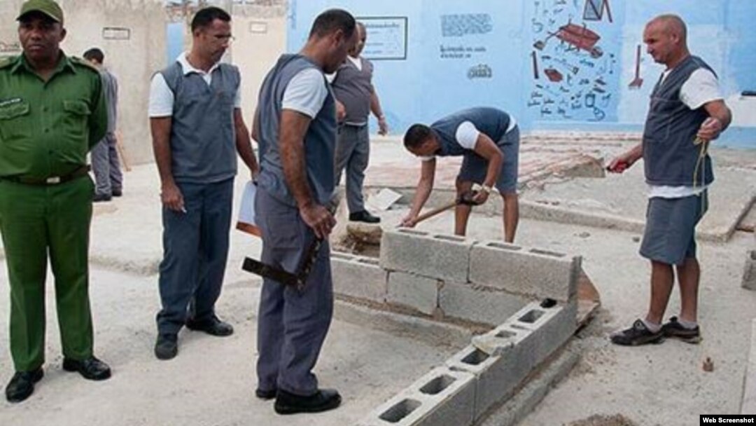 Reporta Cuba. Reos trabajan bajo supervisión.