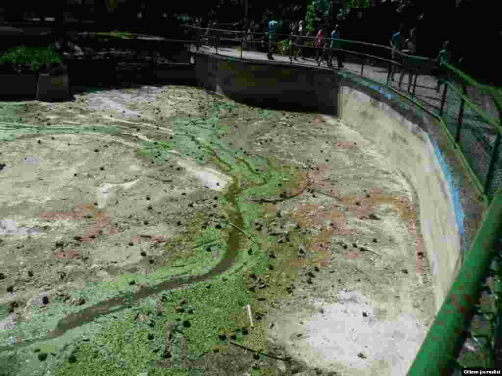 Zoológico de La Habana Foto de Billy Joe Landa.