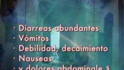 Prevenir el Cólera