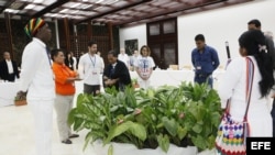 Víctimas del conflicto armado colombiano testimonian en La Habana.