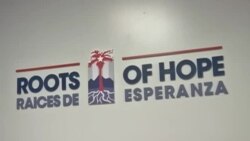 Grupo universitario lleva a cabo campaña para internet en Cuba