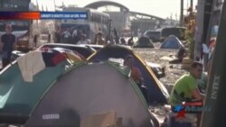 Cifras confirman éxodo silencioso de miles de cubanos